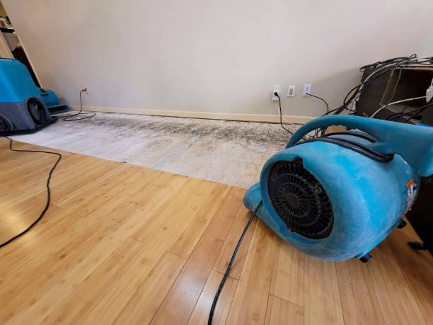 Professional Emergency Water Damage technician working in Yale, OK
